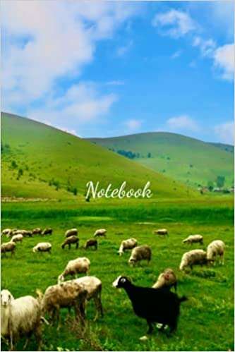 Sheep Notebook Wide Ruled Journal
